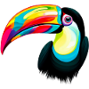 Toucan