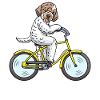 Lagotto Romagnolo chien sur un vélo