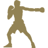 Silhouette del pugile, design vivido della boxe