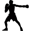 Boxer silhouette, vivid boxing design