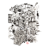 horror vacui
