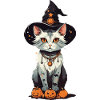 Witches Cat Halloween Magic Cartoon