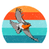 Bird Watching Bird Watching Birding Bird