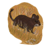 A degu