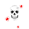 HALLOWEEN skull spiders