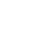 Motivation Style