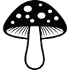 mushroom