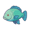 Napoleon Wrasse Cartoon Kawaii Illustration