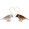 Winter Sparrows and Seeds heart