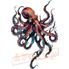 Evolving Kraken