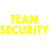 Team security