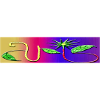 VIS