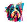 Bearded Collie 80s Style
