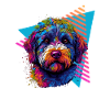 Lagotto Romagnolo 80s style