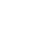 Space Vector