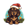 Noël teckel