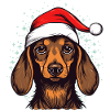 Teckel Noël
