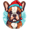 Französische Bulldogge Weihnachten