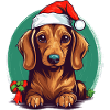 Noël teckel