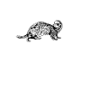Ferret owner - ferret mom