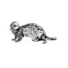 Frettchenliebhaber - Frettchen Papa