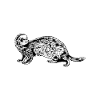 Frettchenbesitzer - Frettchen Papa