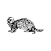 Frettchenbesitzer - Frettchen Papa