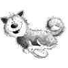 Swift Siberian Husky Sled Dog Dog