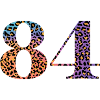 84th Birthday Leopard