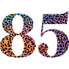 85th Birthday Leopard