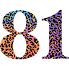 81st Birthday Leopard