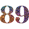 89th Birthday Leopard