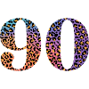 90th Birthday Leopard