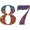 87th Birthday Leopard