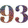 93rd birthday leopard