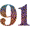 91st Birthday Leopard