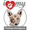 J’aime mon Podengo Português liso