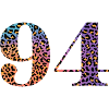94th birthday leopard