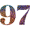 97th Birthday Leopard