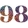 98th Birthday Leopard