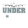 Under Control Model Airplane