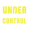 Under Control Model Airplane