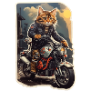 chat moto