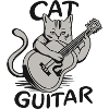 Gitarrist
