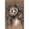 PANDA 02