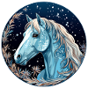 Pferd im Winter