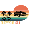 Enjoy your Car