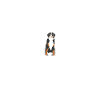 Heartbeat Bouvier Bernois
