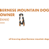 Bernese Mountain Dog Owner Definition