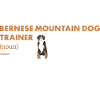Bernese Mountain Dog Trainer Definiton